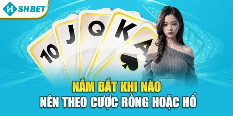 Nắm bắt khi nào nên theo cược rồng hoặc hổ